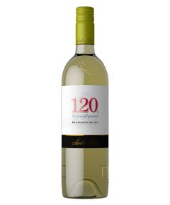 Santa Rita 120 Reserva Especial Sauv Blanc 75cl